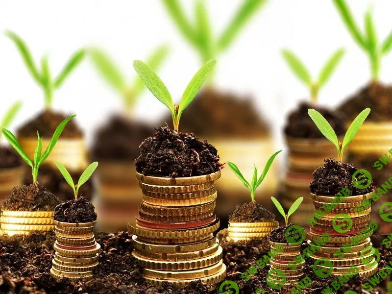 12 вариантов, куда инвестировать деньги