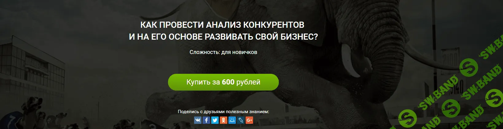 [1ps] Как провести анализ конкурентов и на его основе развивать свой бизнес