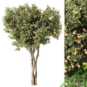 [3ddd.ru] Сборник 3d моделей. Часть 69 (3dsMax + Corona + Vray) (2022)