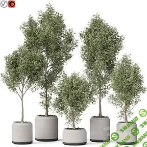 [3ddd.ru] Сборник 3d моделей. Часть 70 (3dsMax + Corona + Vray) (2022)