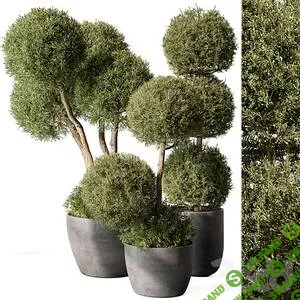 [3ddd.ru] Сборник 3d моделей. Часть 74 (3dsMax + Corona + Vray) (2022)