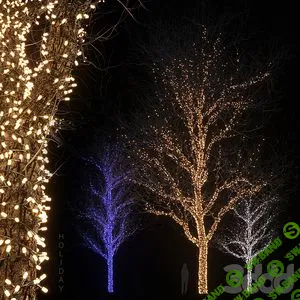 [3ddd.ru] Сборник 3d моделей. Часть 74 (3dsMax + Corona + Vray) (2022)