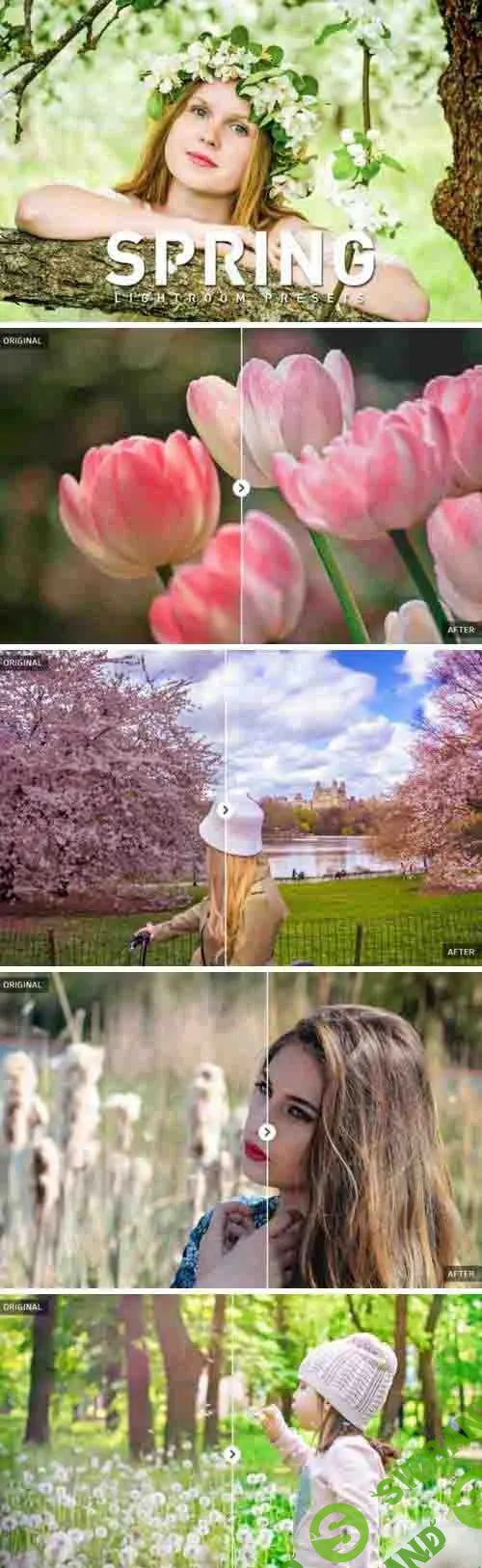 50 Spring Lightroom Presets 871009