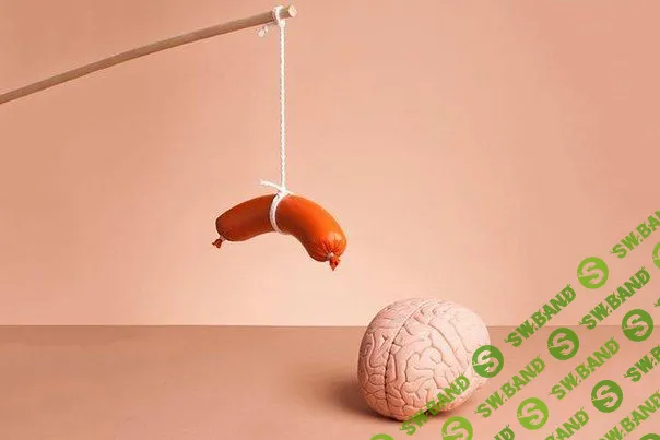 7 максимально полезных книг по саморазвитию, которые помогут вам наладить жизнь и добиться успеха