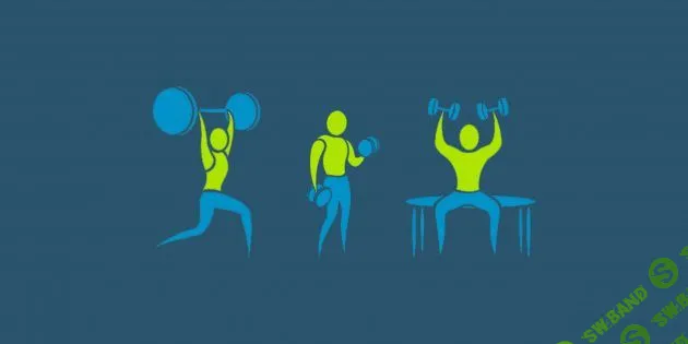 7 принципов построения тренировочного процесса