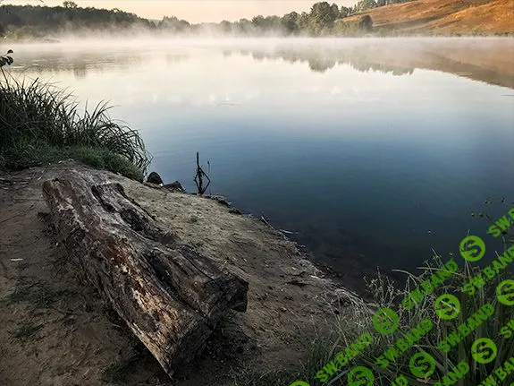 [А.Заморин, В.Шемет] Мобильная фотография 2.0