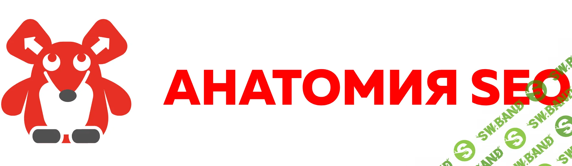 Агентство «Анатомия SEO»
