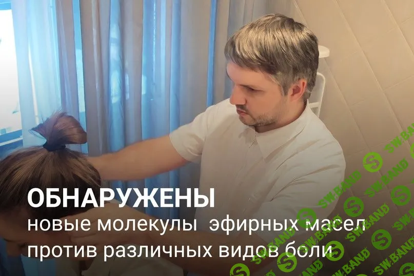 [Академия AromaVita] Ароматерапия. Головные боли (2023)