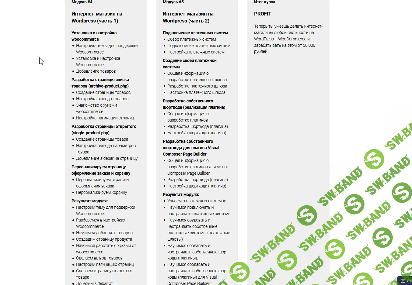 [Академия верстки] Разработка интернет магазина WP + WooCommerce (2019)