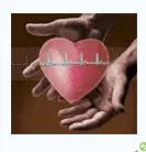 [Александр Черепанов] Укрепление сердечнососудистой системы