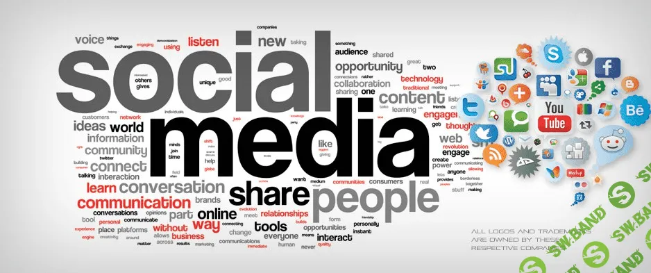 [Александр Галевич] Анализатор (2017)