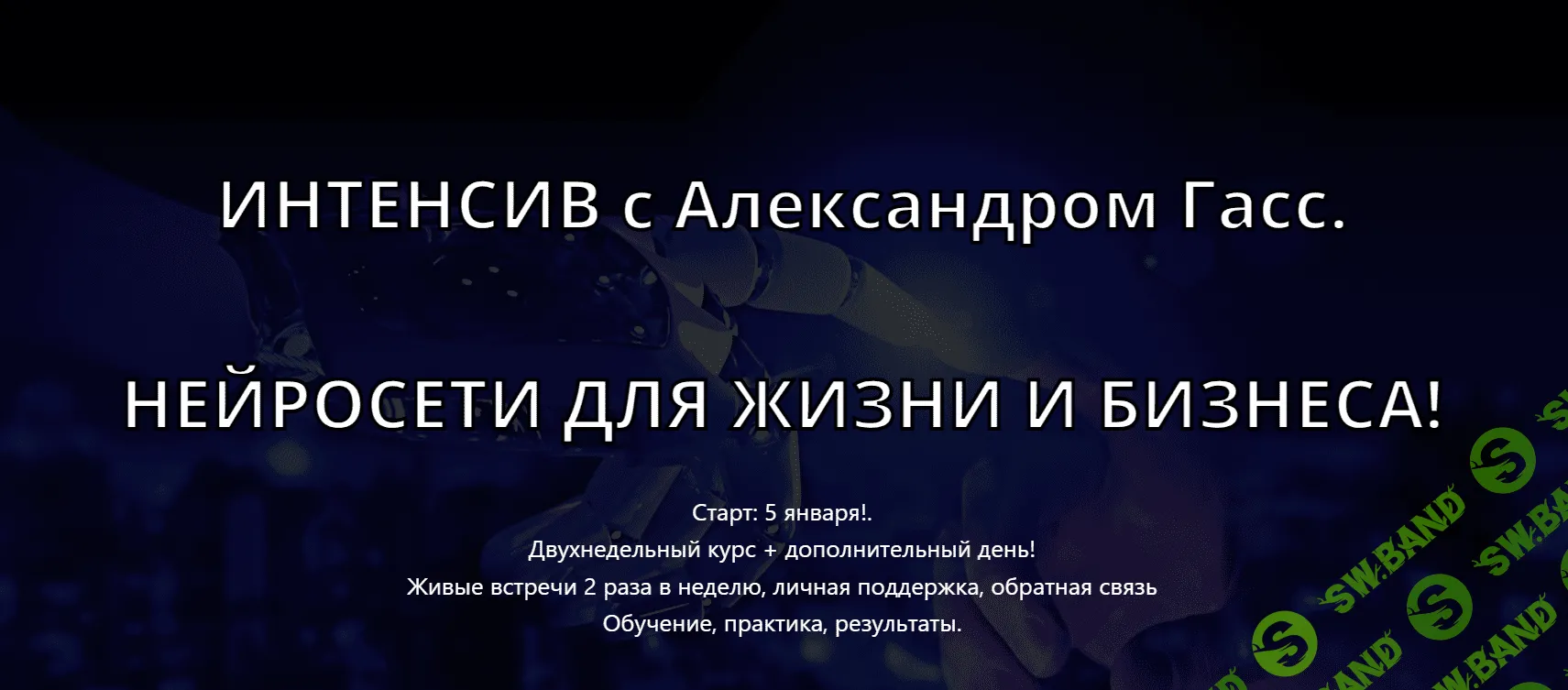 [Александр Гасс] Нейросети для жизни и бизнеса вариант 2 (2024)