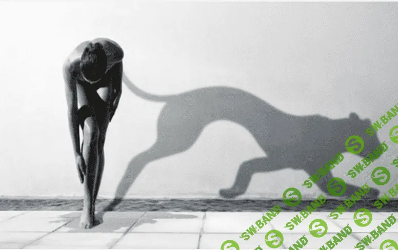 [Александр Гиршон] Встречи с тенью