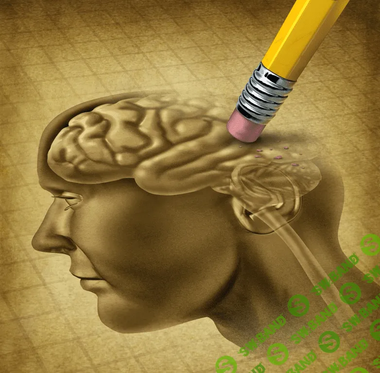 [Александр Клинг] Стирание негативных воспоминаний и нейросвязей (2019)