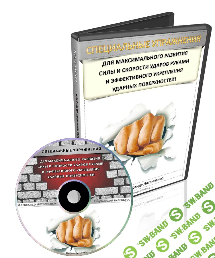 [Александр Литвиненко] Специальные упражнения для максимального развития силы ударов руками [2013]