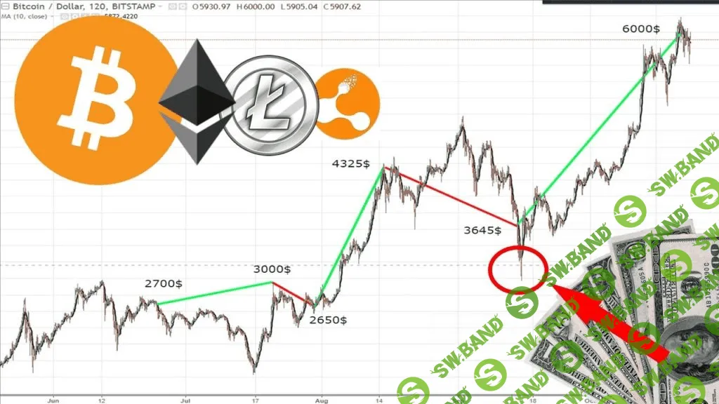[Александр Марченков, Дмитрий Перепелкин] Трейдинг на криптовалютном рынке, маржинальная торговля и инвестиции (2020)