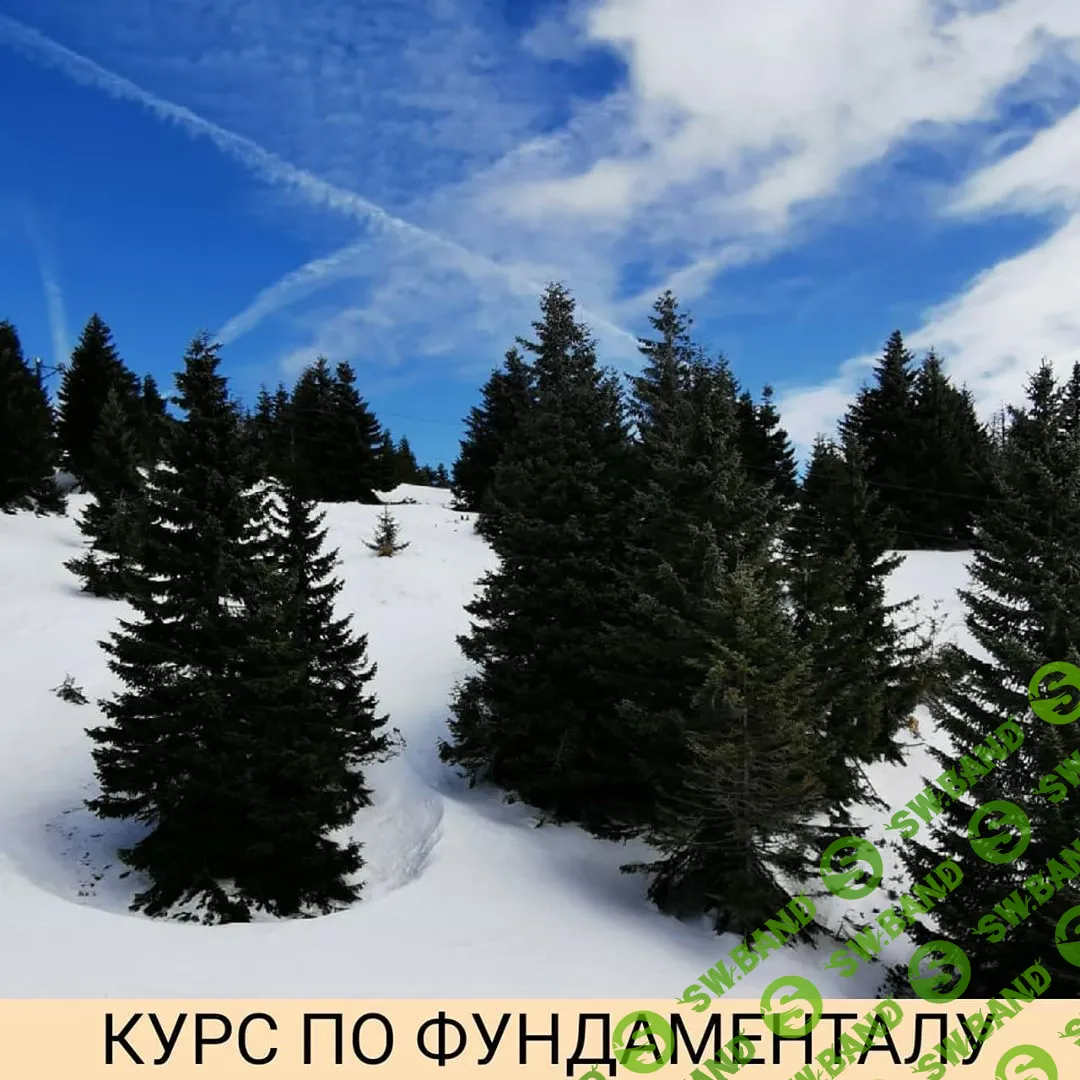 [Александр Петров] Фундаментальный анализ компаний на фондовом рынке РФ (2020)