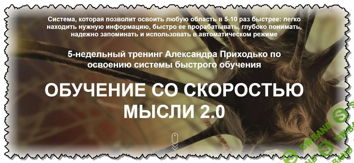 [Александр Приходько] Обучение со скоростью мысли 2.0 (2019)