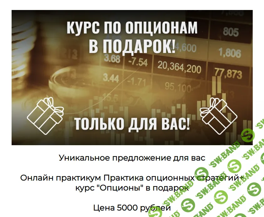 [Александр Пурнов] Практика опционных стратегий. Онлайн практикум (2024)