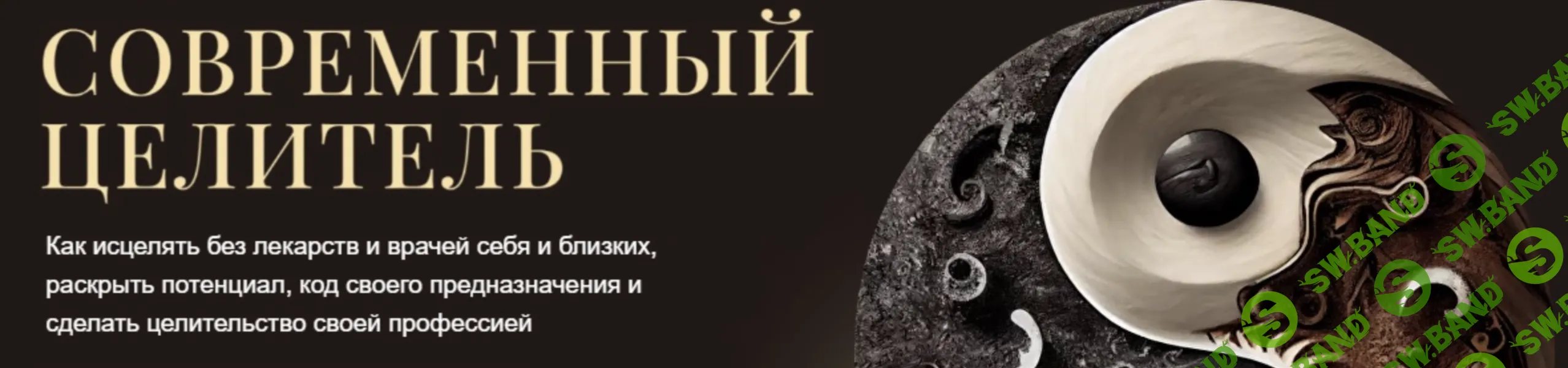 [Александр Салогуб] Современный целитель (ступень 1) (2024)