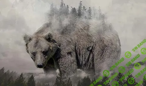 [Александр Сераков] Adobe Photoshop СС. Инструменты дизайнера (2019)