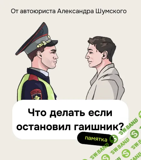 [Александр Шумский] Памятка Что делать, если остановил гаишник (2023)