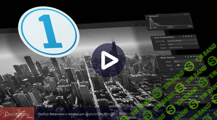 [Александр Свет] Capture One Pro 20: быстрый старт (2019)