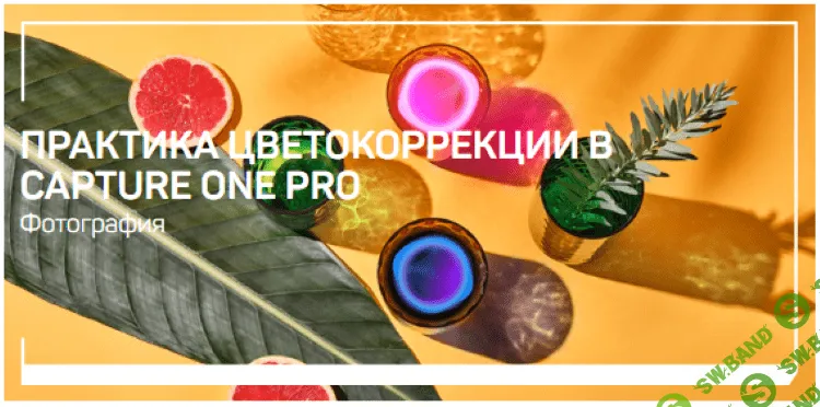 [Александр Свет] Практика цветокоррекции в Capture One Pro (2020)
