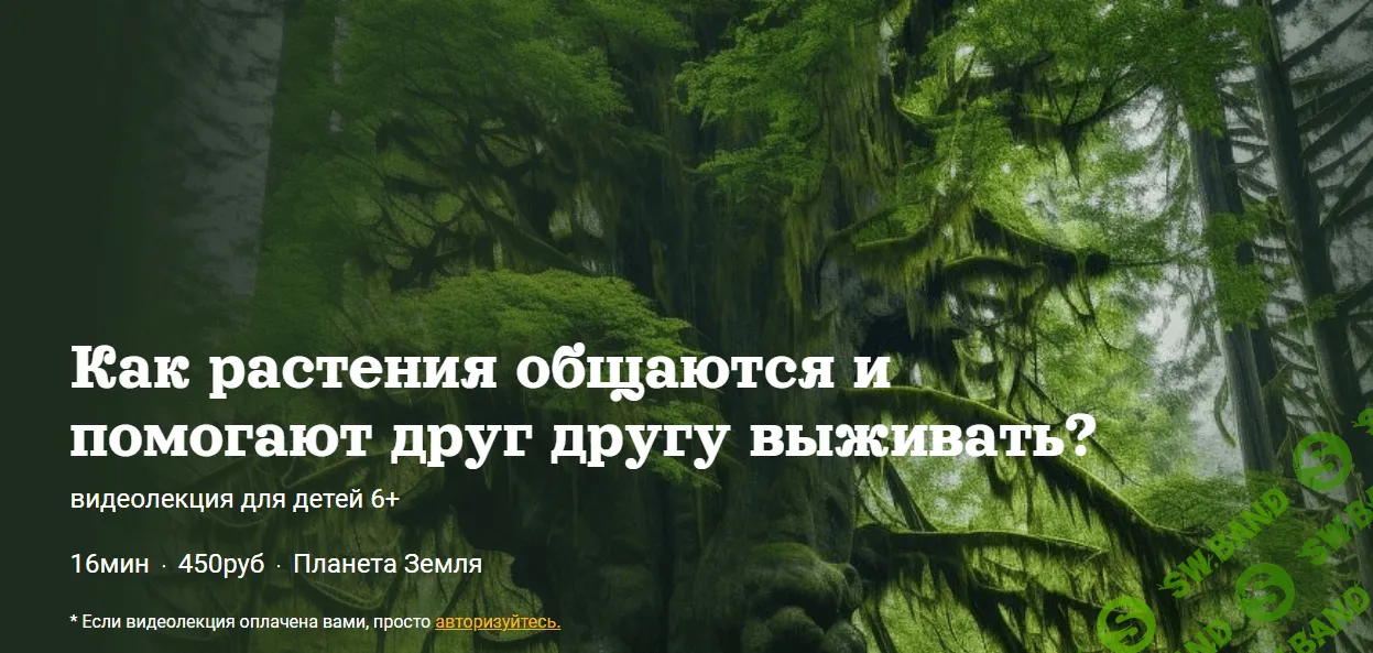 [Александр Толмачёв] Как растения общаются и помогают друг другу выживать (2023)