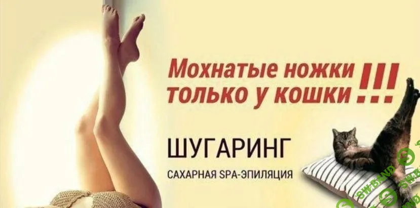 [Александр Ураков] Территория партнерских продаж (мини-курс) (2023)