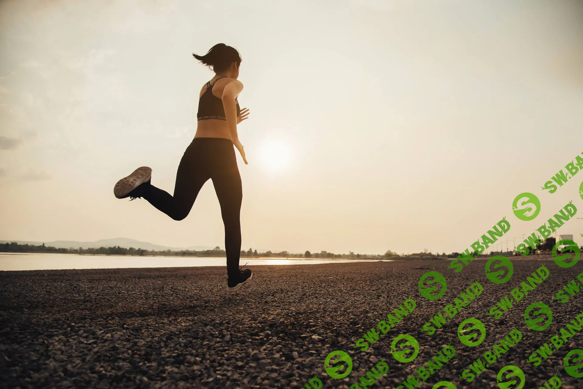 [Александр Василенко] Привычки успешных людей (2020)