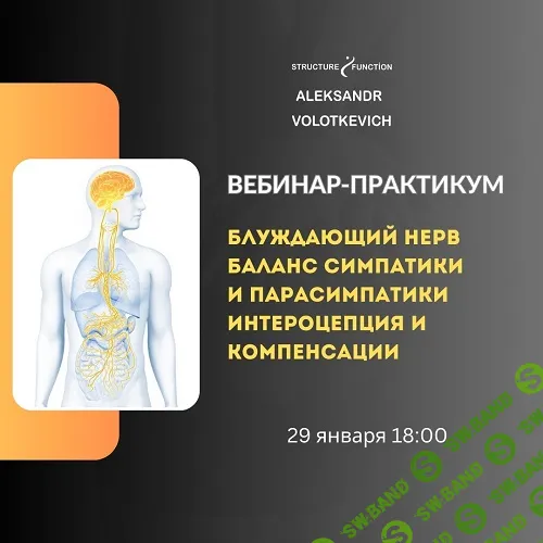 [Александр Волоткевич] Блуждающий нерв: баланс симпатики и парасимпатики, интероцепция и компенсации (2025)