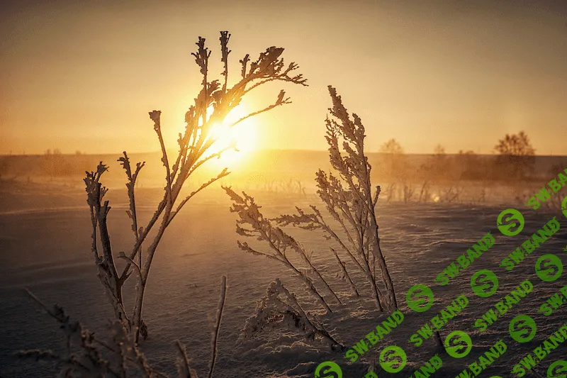 [Александр Заморин] Зимний пейзаж