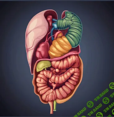 [Александра Бонина] 3 практических мастер-класса по восстановлению микрофлоры кишечника (2025)