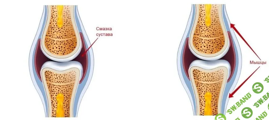 [Александра Бонина] Здоровье суставов ног от А до Я (2023)