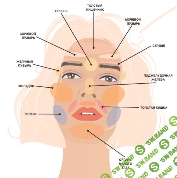 [Александра Ефимова] Кожа мечты 2.0 (2020)