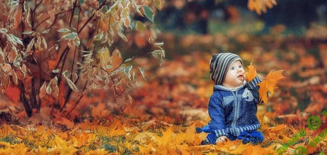 [Александра Сёмочкина] Урок по теплой осенней обработке