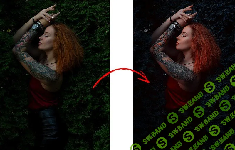 [Алексей Кузьмичев] Цветокоррекция без границ (2019)