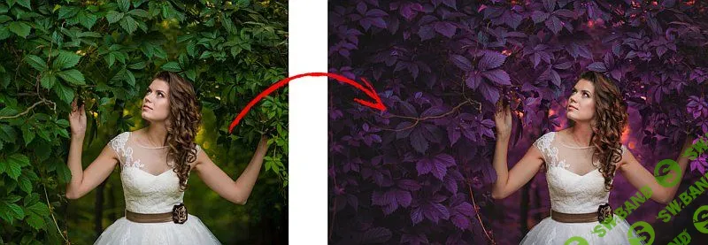 [Алексей Кузьмичев] Цветокоррекция без границ (2019)