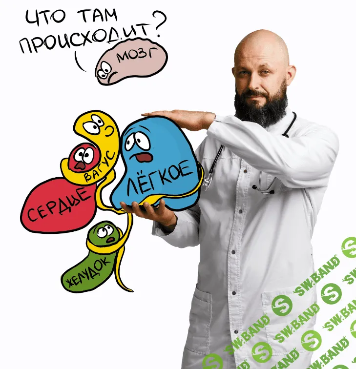 [Алексей Маматов] 4 шага к нормализации блуждающего нерва (2022)