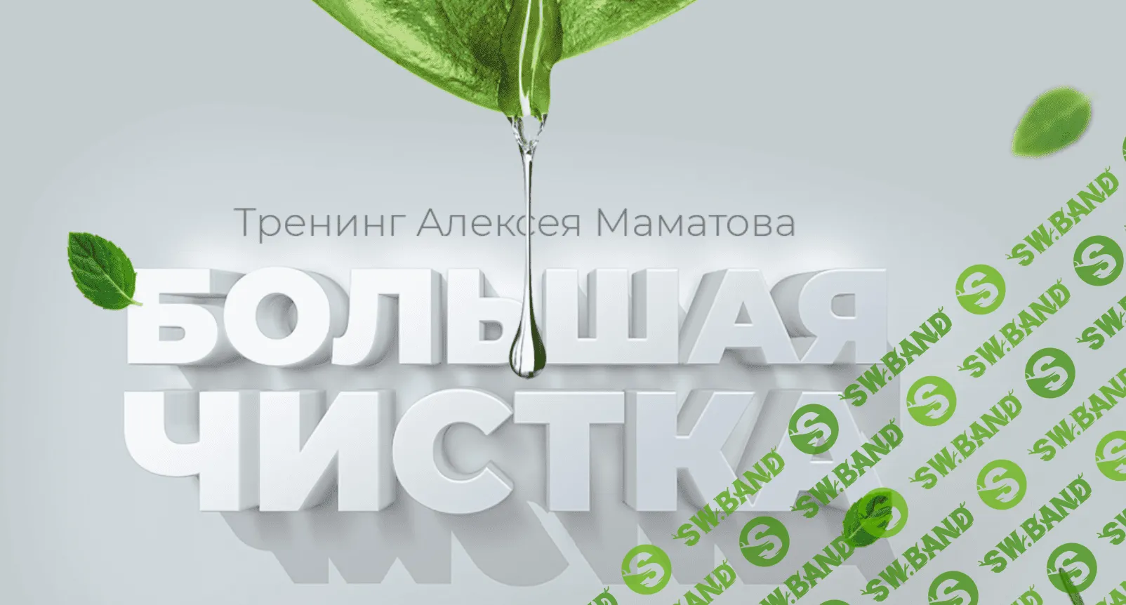 [Алексей Маматов] Тренинг Большая чистка (2018)