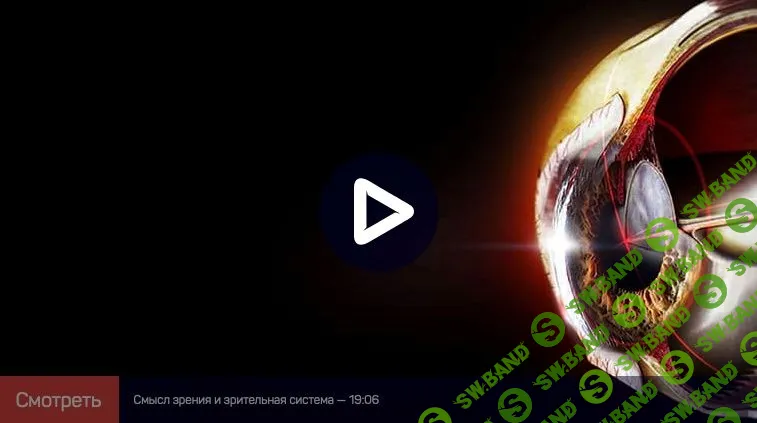 [Алексей Шадрин] Зрительное восприятие: от физиологии к образу (2022)