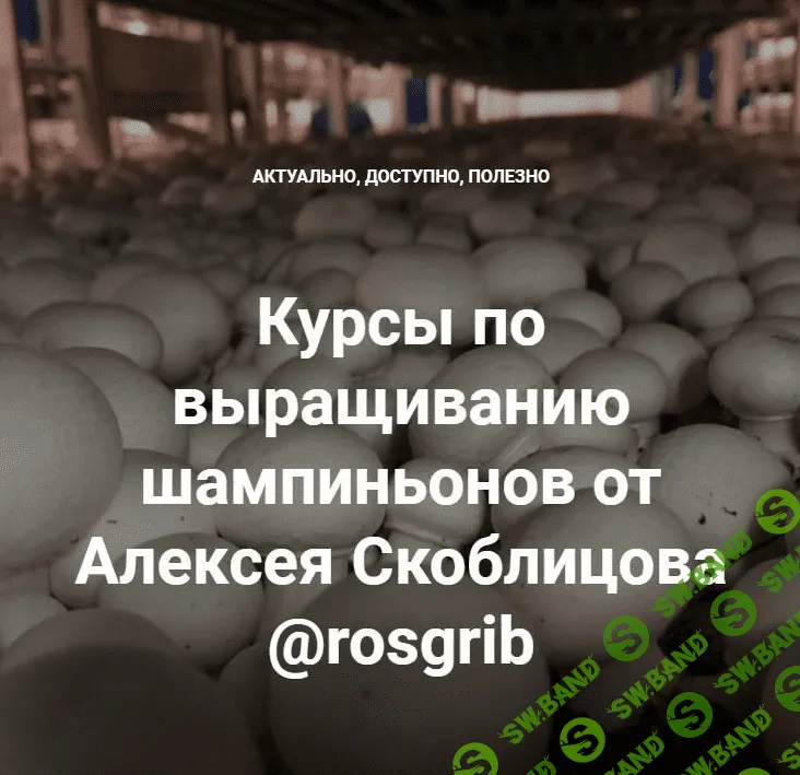 [Алексей Скоблицов] Курсы по выращиванию шампиньонов (2022)