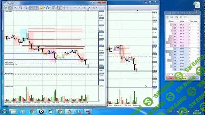 [Алекснадр Старицын] Биржевой практикум. До результата (2019)