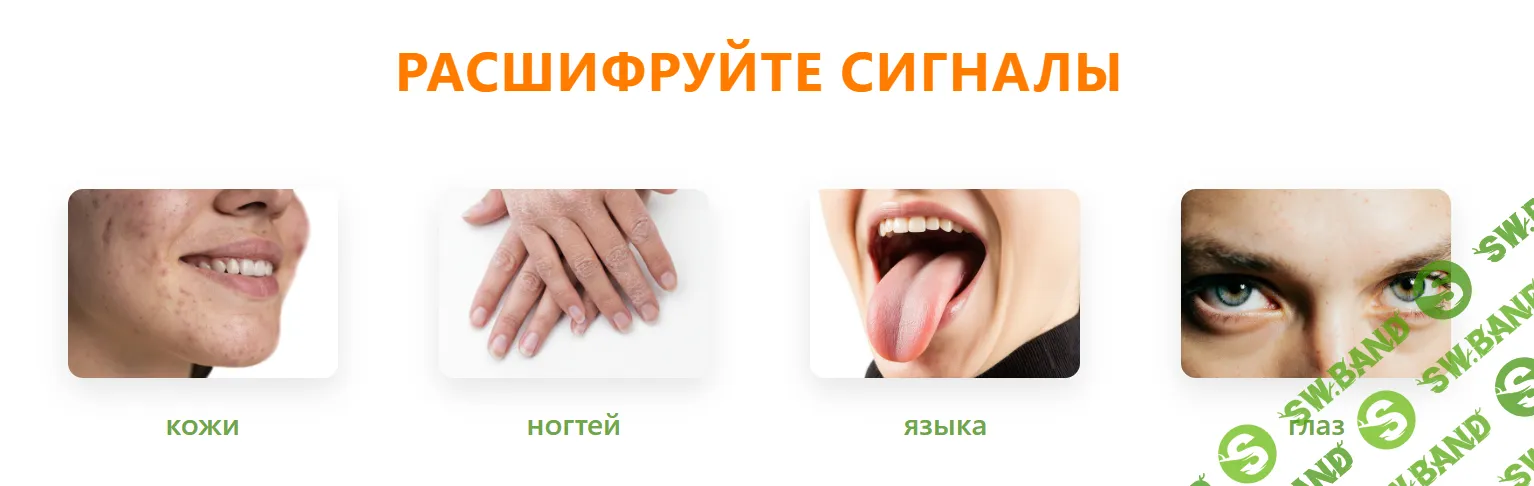 [Алена Козырева] Искусство чтения сигналов: глаза, кожа, ногти, язык (2026)