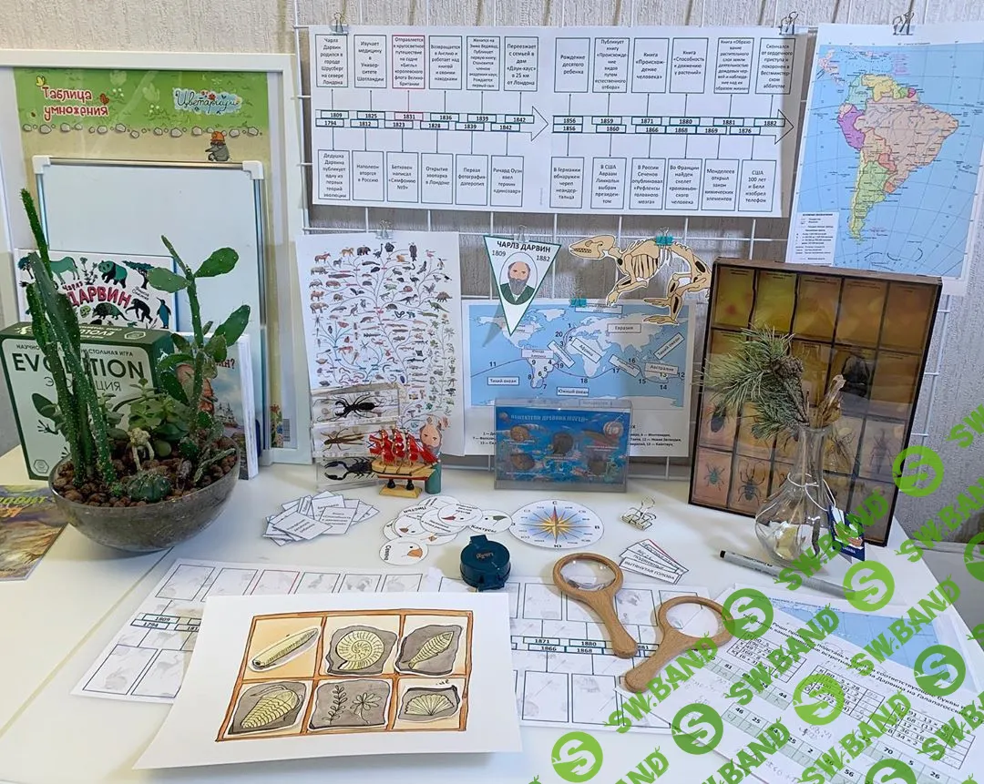 [Алина Чабуткина] Анатомиум, комплект Дарвин (2020)