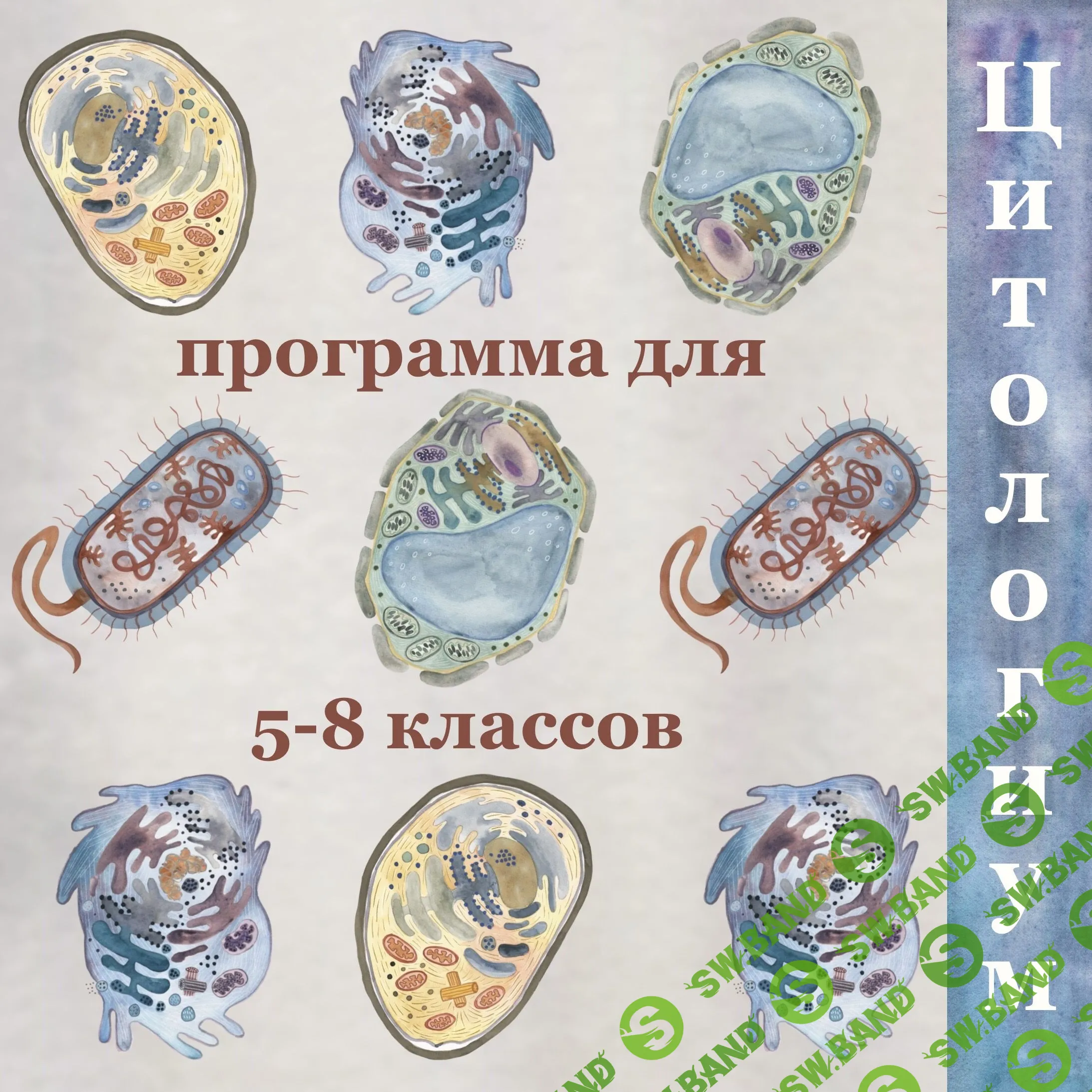 [Алина Чабуткина] Цитология. 5-8 классы (2023)