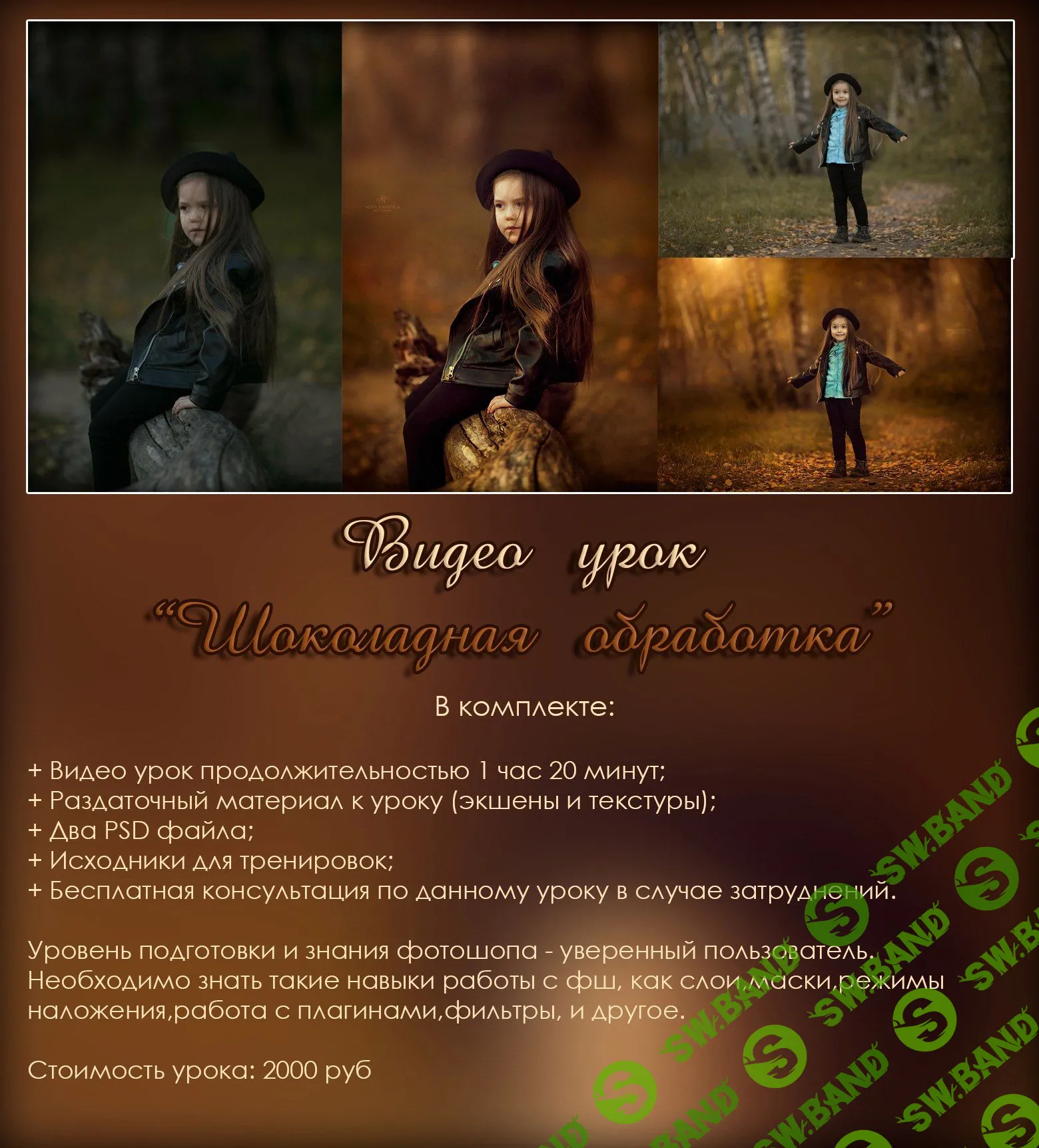 [Алина Каютина] Видео-урок по художественной обработке фотографий в шоколадных тонах