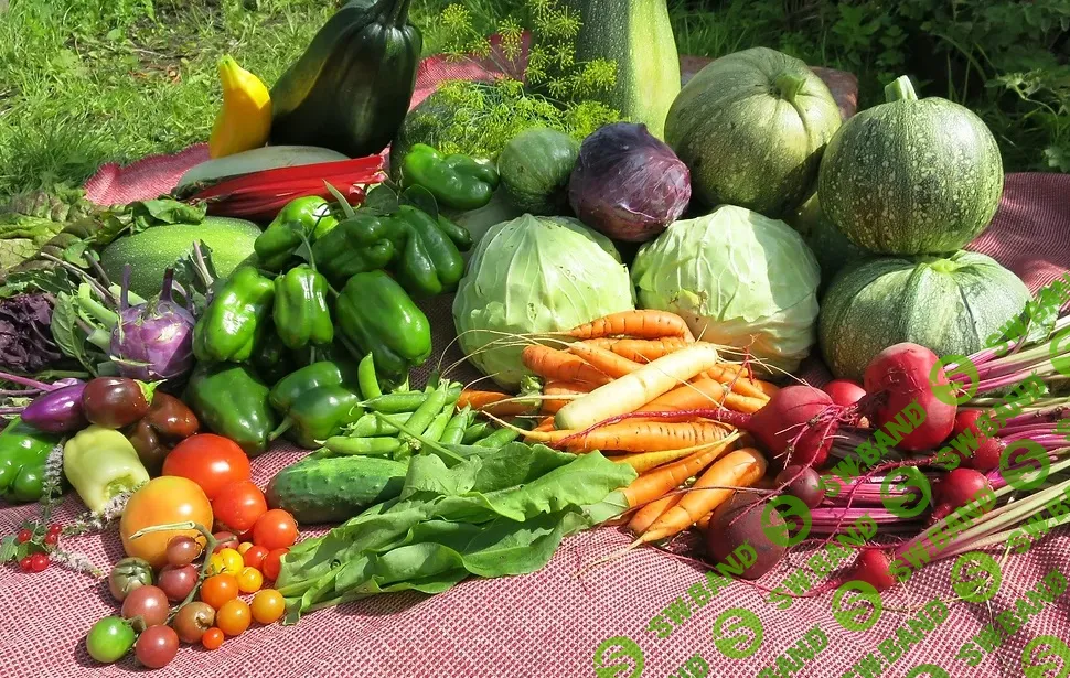 [Алёна Волкова] 7 шагов к богатому урожаю (2023)