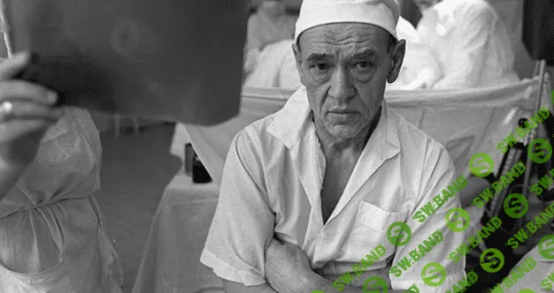 Алкоголь и мозг: культовый доклад академика углова в 1983 году